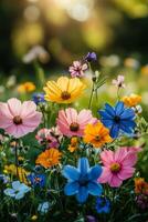 Vibrant wildflowers bloom under sunlight in a serene natural setting during springtime photo