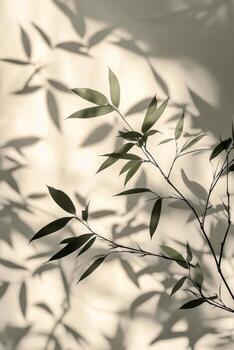 Shadows of bamboo leaves creating intricate patterns on a white background in natural light photo
