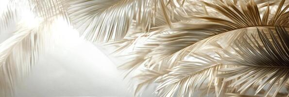 Elegant palm frond resting on soft, flowing fabric in a serene, minimalist setting photo