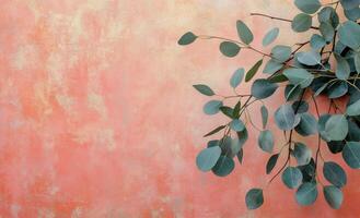 Eucalyptus leaves arranged on a textured coral background for a nature inspired aesthetic photo