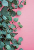 Green leaves against a pink background create a fresh and vibrant aesthetic in decor photo