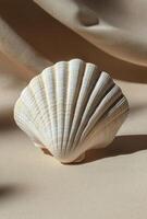 A detailed view of a seashell resting on a sandy surface under natural light during daytime photo