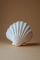 A detailed view of a seashell resting on a sandy surface under natural light during daytime photo