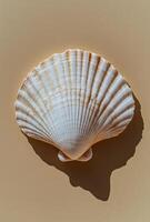 A detailed view of a seashell resting on a sandy surface under natural light during daytime photo