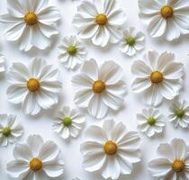 White flowers with yellow centers arranged beautifully on a light surface for decoration photo