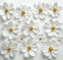 White flowers with yellow centers arranged beautifully on a light surface for decoration photo