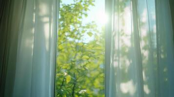 Sunlight streaming through sheer curtains illuminating houseplants in a cozy window setting photo
