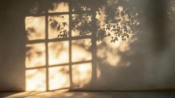 Sunlight Filtering Through Window and Tree Shadow on Wall photo