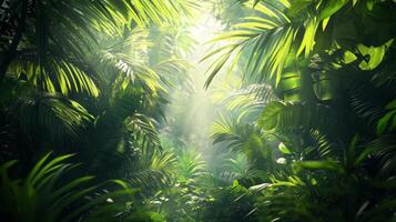 Lush Jungle with Sunlight Filtering Through Canopy photo