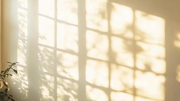 Sunlight Filtering Through a Window Casting Shadow Patterns on a Wall photo