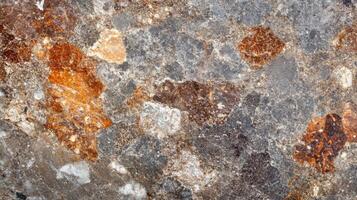 Close-up of a textured stone surface with brown, gray, and white patches photo