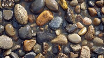 Wet, Smooth River Rocks in Shallow Water photo