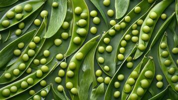 Green Pea Pods and Peas Arranged in a Pattern on a Green Surface photo
