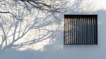Shadow of a Tree Branch on a White Wall with a Window photo