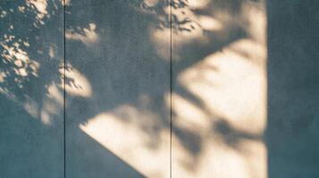Sunlight Casting Tree Shadows on a Concrete Wall photo