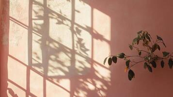 A Pink Wall with a Window Shadow and a Plant Branch photo