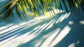 Palm Leaf Casts Long Shadows on a Blue Surface photo