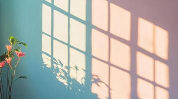 Plant With Pink Flowers in Front of a Window Shadow on a Wall photo