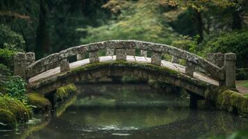 Moss-Covered Stone Bridge Spanning a Tranquil Pond photo
