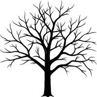 A black and white tree with no leaves vector