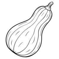 A drawing of a squash on a white background vector