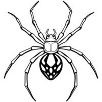 Spider coloring pages free printable vector