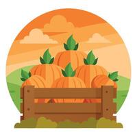 Pumpkins in a wooden crate on a hillside vector