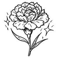 Carnation flower coloring pages vector
