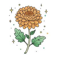 Chrysanthemum flower illustration vector