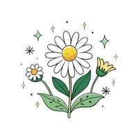 A daisy and flowers are shown in a white background vector
