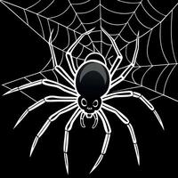 Spider on web vector