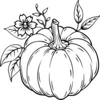 Pumpkin coloring pages vector