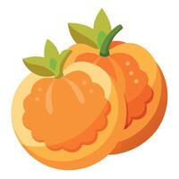 Two oranges are shown on a white background vector