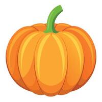 A cartoon pumpkin on a white background vector