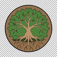 A tree with roots in a circle, with a green background vector