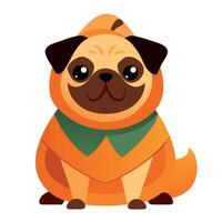 Pug dog in pumpkin costume vector