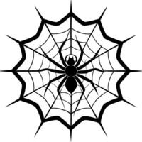 Spider web on a white background vector