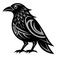 A black and white raven with a long beak vector