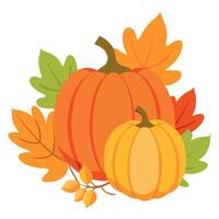Pumpkins and leaves on a white background vector