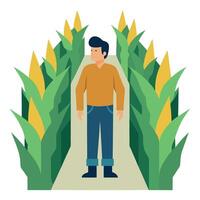 A man standing in a corn field vector