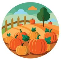 Pumpkins in a field with a fence and trees vector