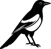 Simple Magpie Silhouette Logo Icon , Clean and Minimalist Bird Design vector