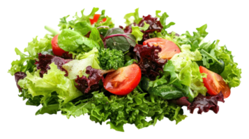 A salad with tomatoes, lettuce and other vegetables png