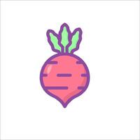 A beet is shown in a flat line style vector