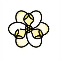 A flower with yellow petals on a white background vector