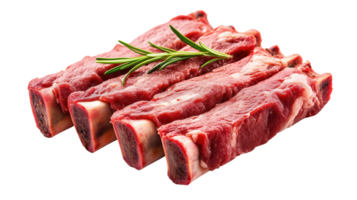 Fresh raw beef ribs with rosemary isolated on transparent background. png