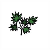 A marijuana plant icon on a white background vector