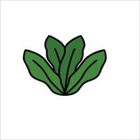A green leaf icon on a white background vector