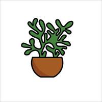 A potted plant in a pot on a white background vector