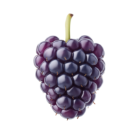 Fresh, ripe purple grape cluster isolated on transparent background. png